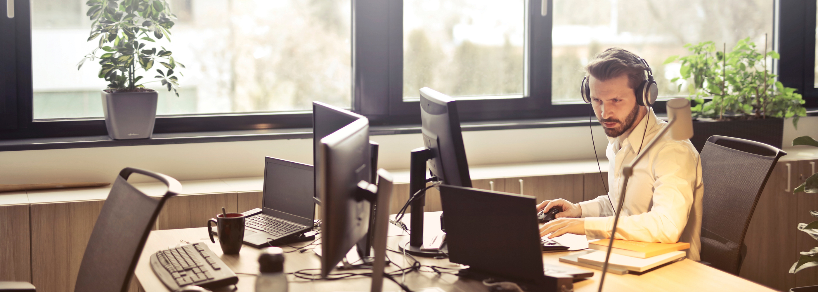 We Provide Custom Software, Web Designs and Consulting Services